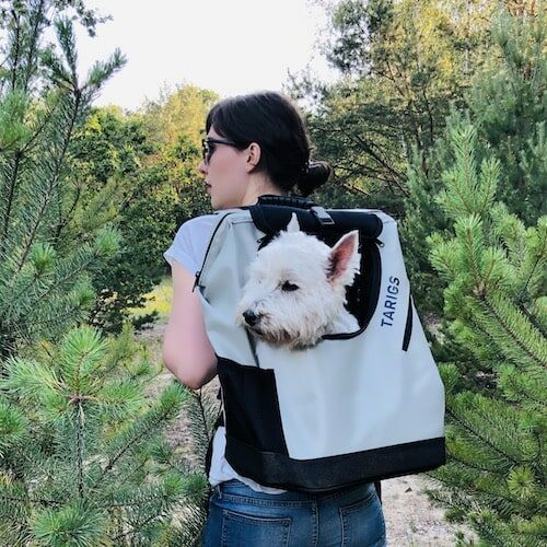 Une femme porte un Westie dans un sac à dos pour chien de TARIGS