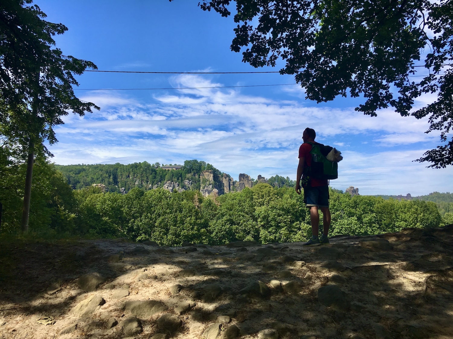 Hombre de pie en una montaña disfrutando de las vistas con su perro en la mochila