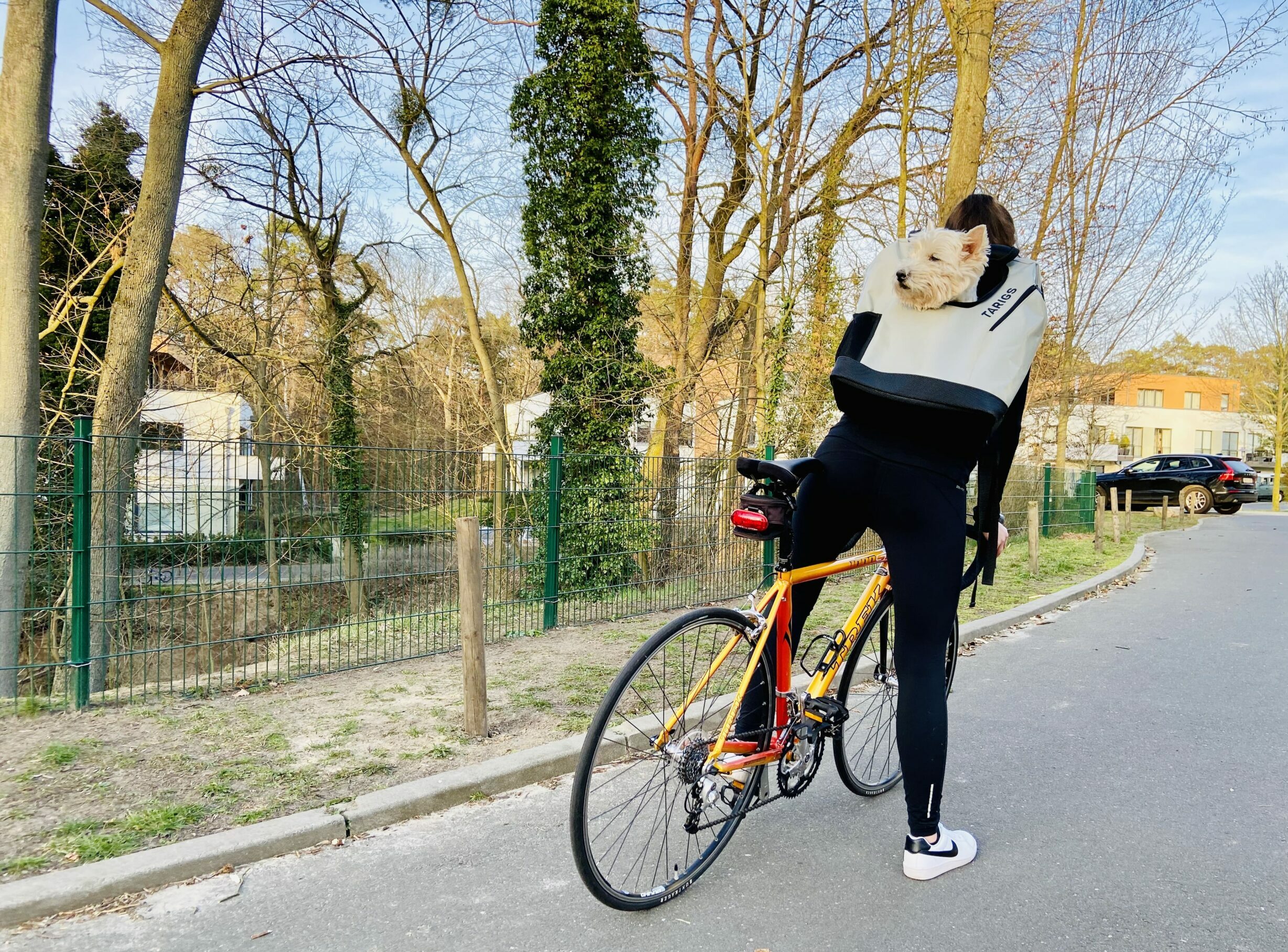 Mujer montando en bicicleta de carreras con un perro en la mochila