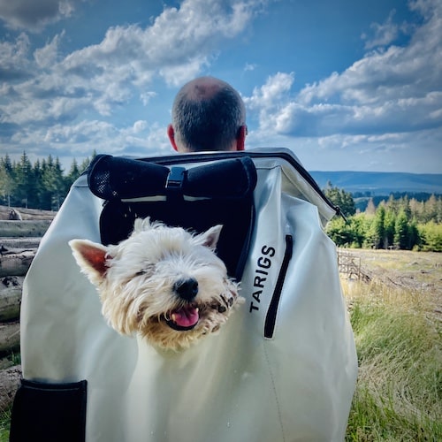 Mochila de verano para perros