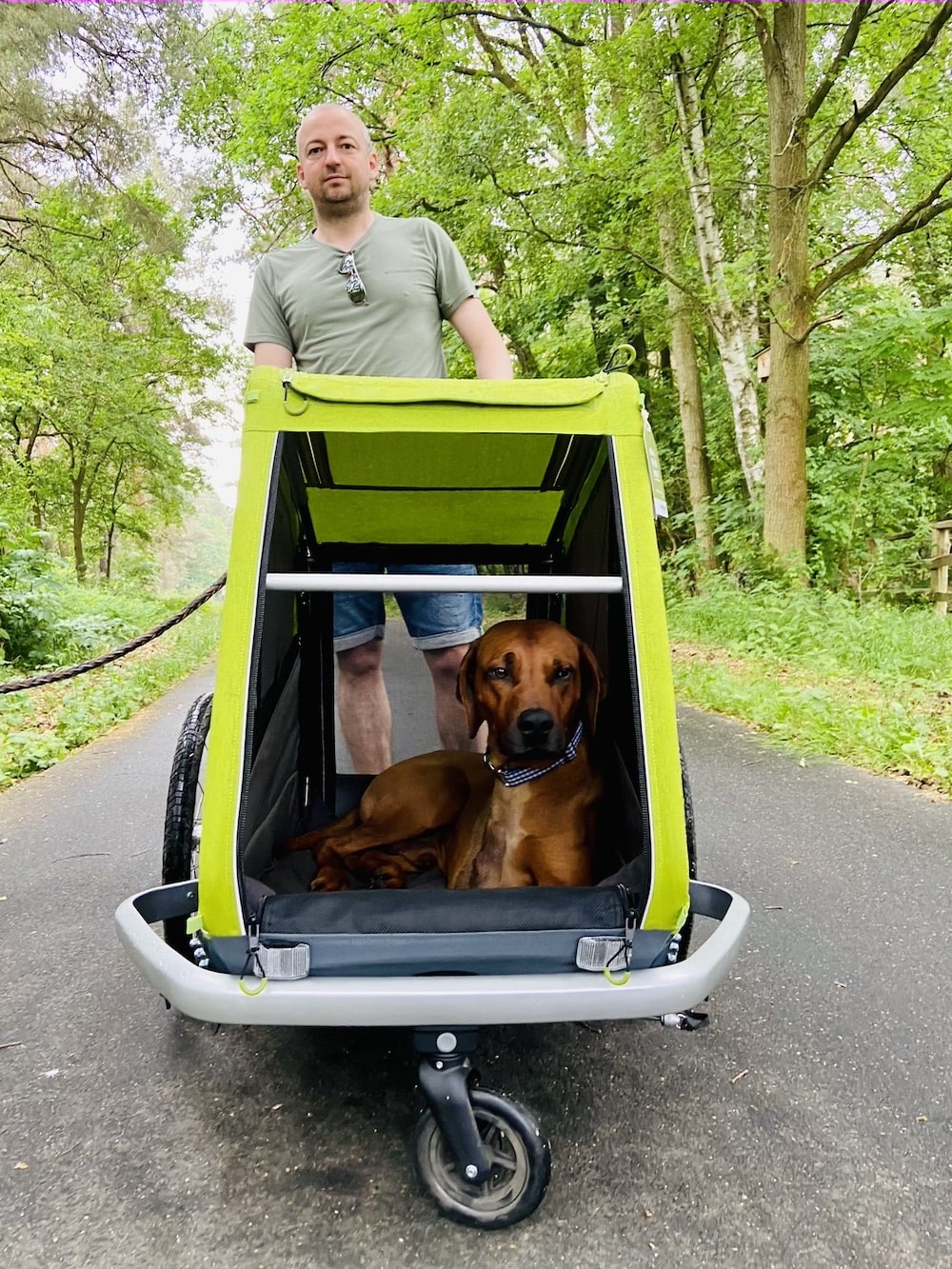 Dog carrier backpack or pet stroller