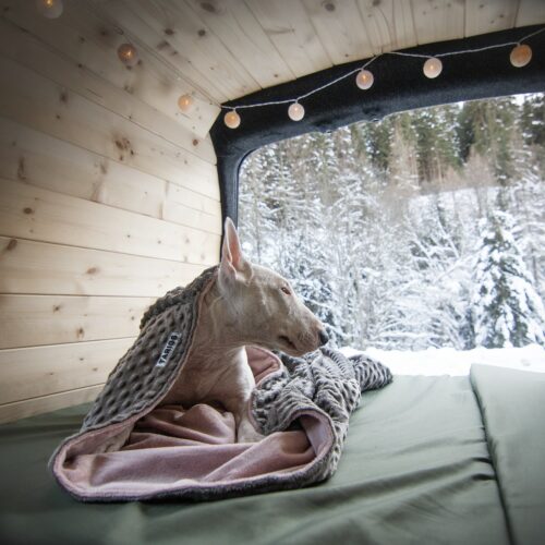 Bull Terrier miniature couché dans un sac de couchage pour chien de TARIGS