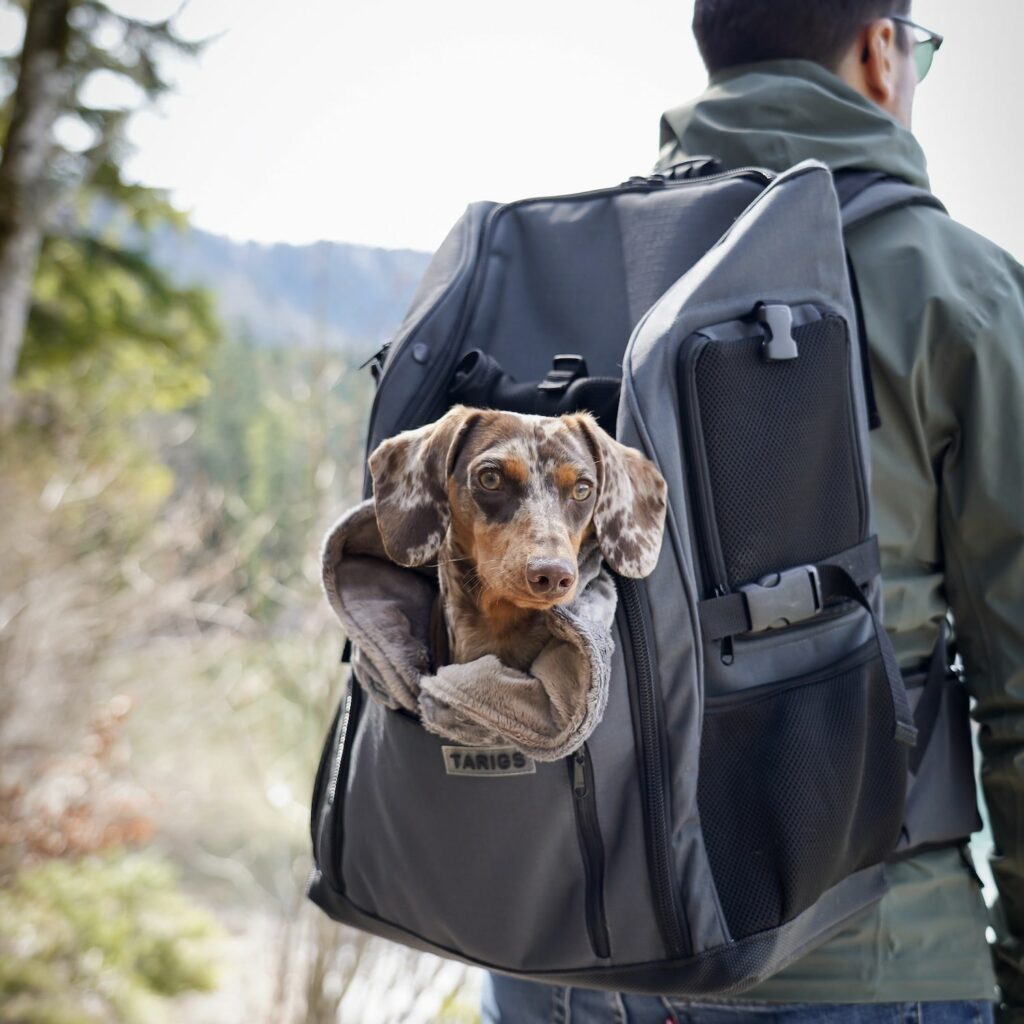 Sac à dos de trekking pour chiens PeakStone Backpack TARIGS