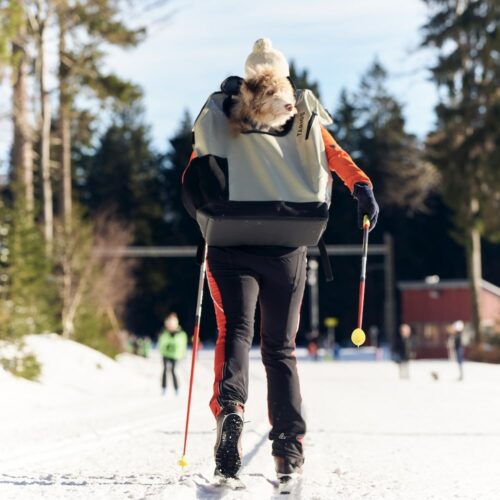 Une femme fait du ski de fond avec un Aussiedoodle dans un MountainRock Backpack de 20 kg.
