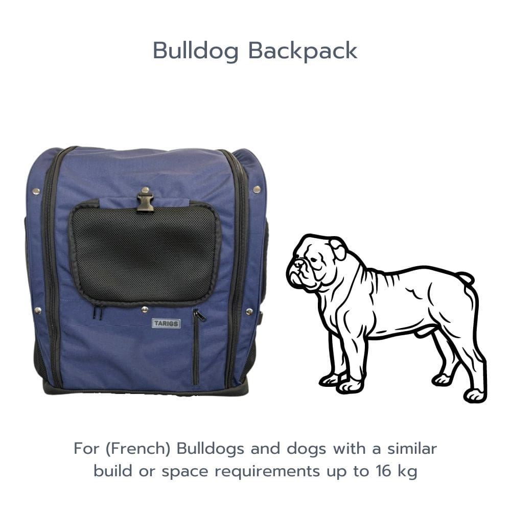 Bulldog Backpack in Cobalt Blue