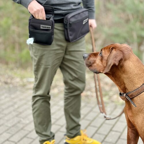 Lleve la AddA Bag según sus necesidades, con o sin su mochila para perros TARIGS. Las diferentes opciones de transporte maximizan la comodidad y se adaptan a su situación individual.