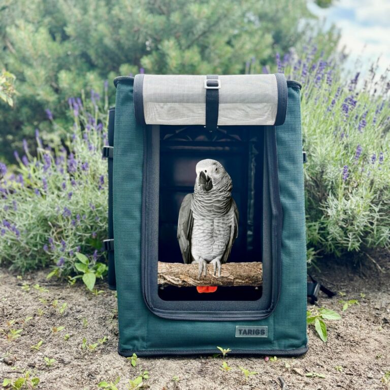 Shop at TARIGS outdoor products for your dog from Germany