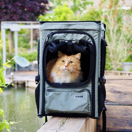 ROOFPACKER pour chats et chiens – Image 5