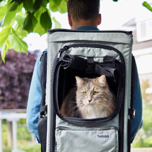 ROOFPACKER pour chats et chiens – Image 3