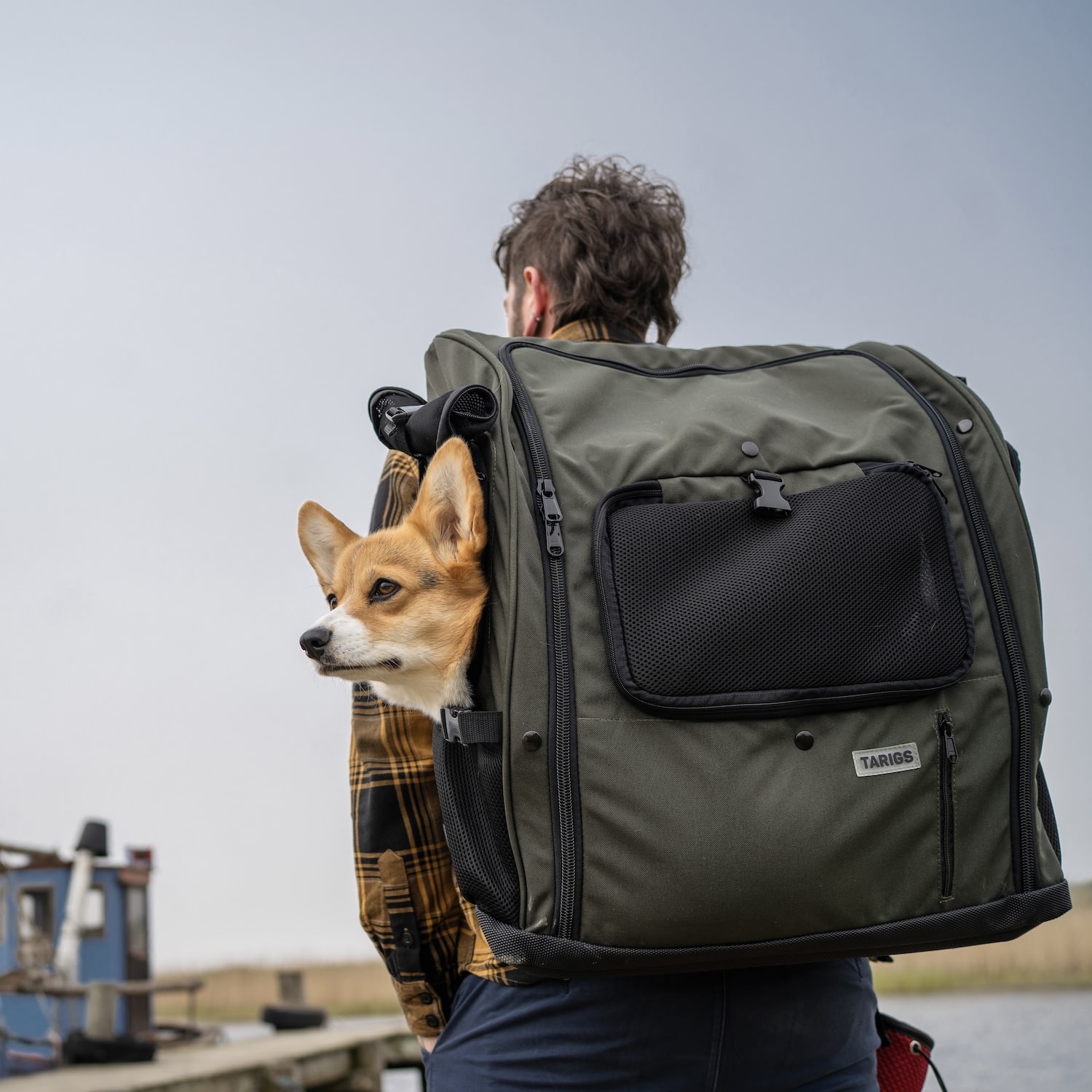 Corgi Riley assise dans le Dachshund Backpack en taille Maxi (L) Le Corgi Riley se repose sur le Dachshund Backpack en taille Maxi (L)