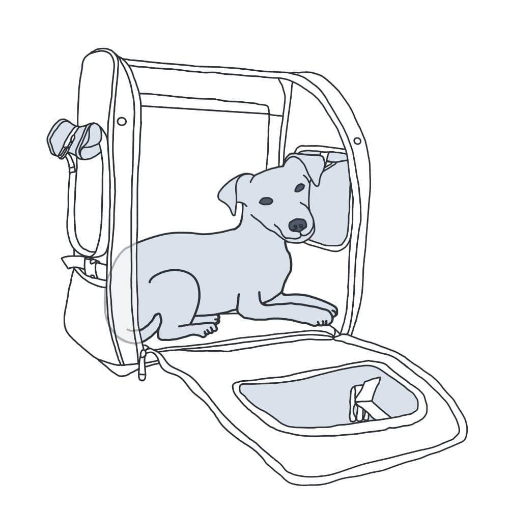 Ilustración de un perro tumbado relajadamente en la mochila.