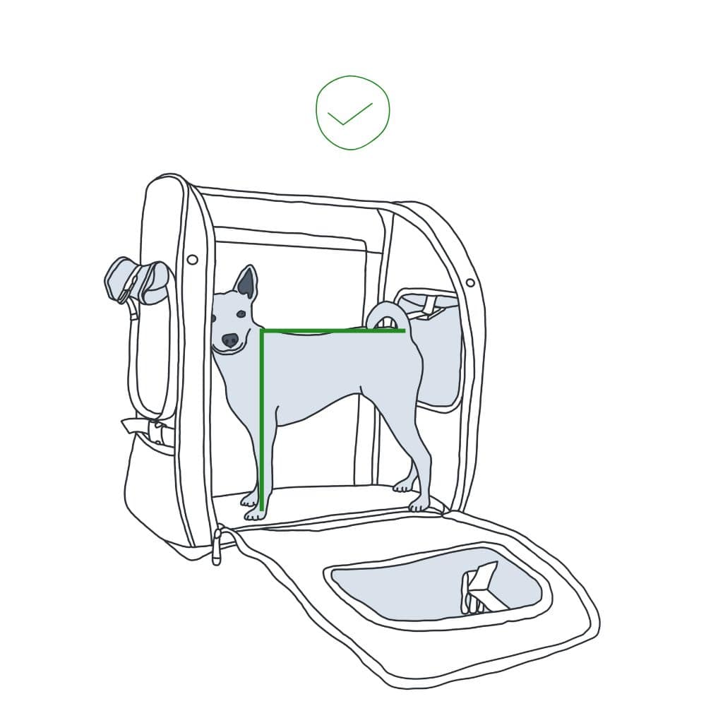 Ilustración de un perro cuadrado que encaja perfectamente en una mochila PeakStone Backpack para mostrar el ajuste adecuado.