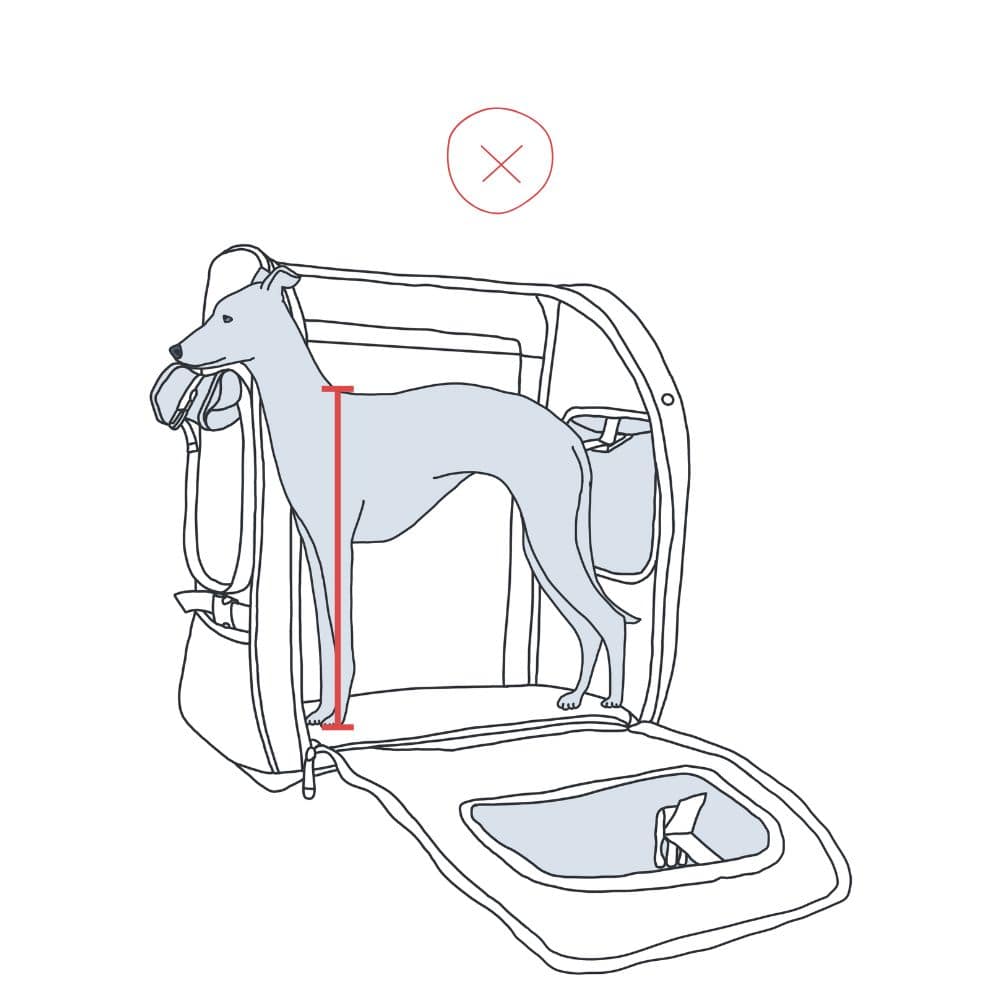 Ilustración de un perro con una altura de hombros demasiado alta en la mochila, que muestra que el perro no cabe en ella.