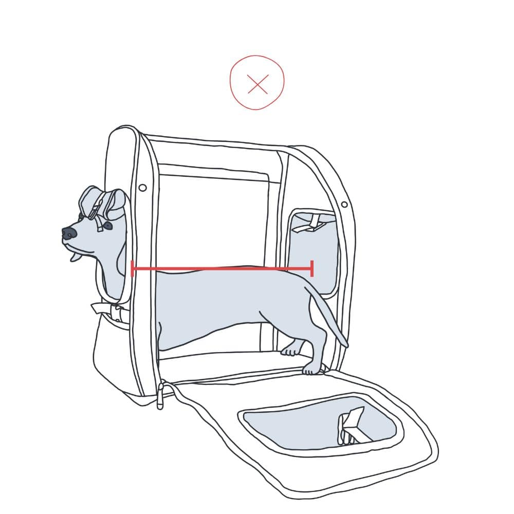 Ilustración de un perro bajo, pero muy largo, que no cabe en la mochila.