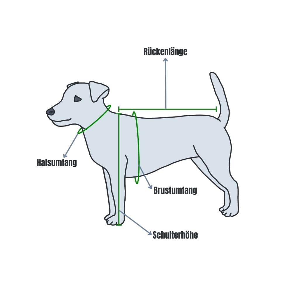 Illustration, die zeigt, wie man einen Hund für einen Rucksack misst, mit eingezeichneter Rückenlänge, Halsumfang, Brustumfang und Schulterhöhe.