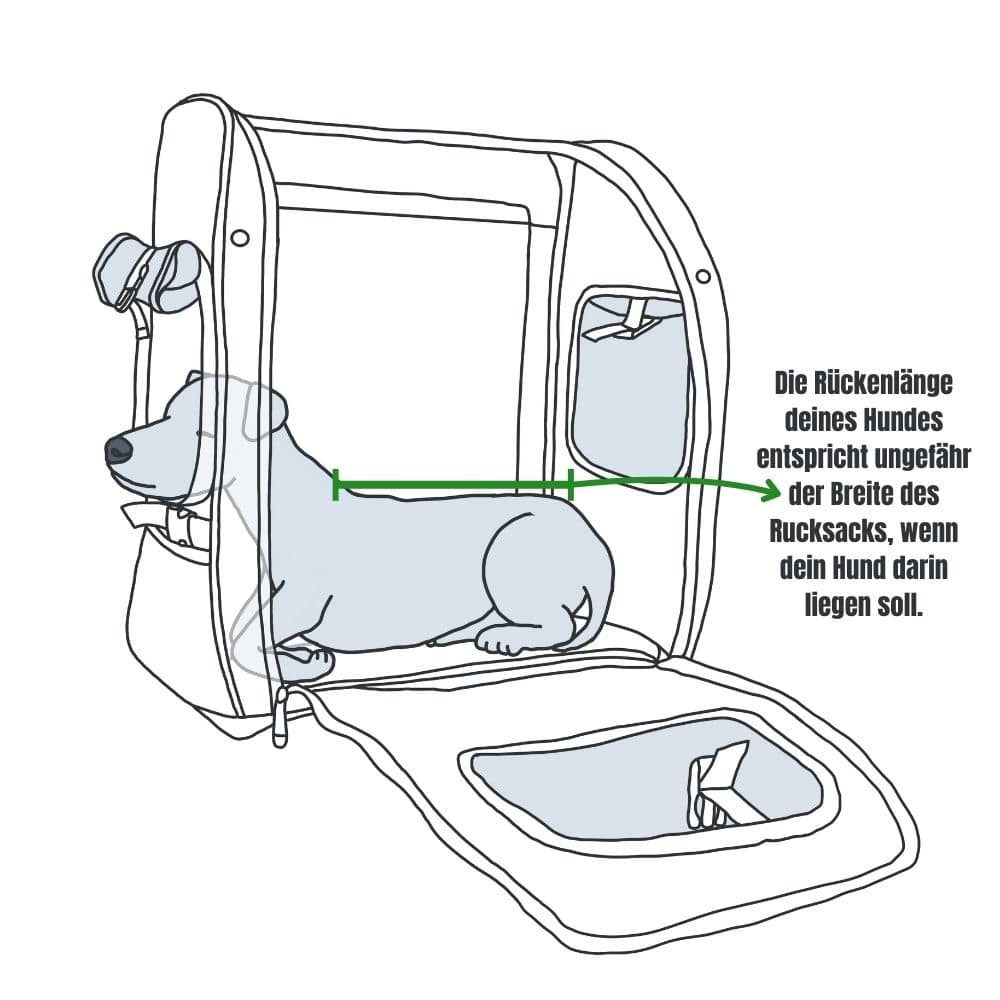 Illustration eines im Rucksack liegenden Hundes, die zeigt, dass die Rückenlänge des Hundes der Breite des Rucksacks entsprechen sollte.