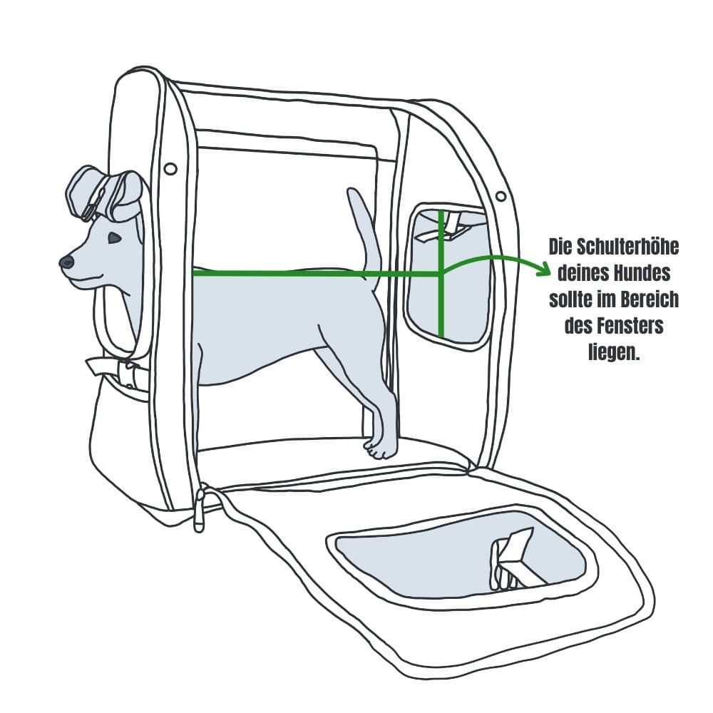 Illustration eines stehenden Hundes in einem Rucksack, die veranschaulicht, dass die Schulterhöhe im Bereich des Fensters liegen sollte.