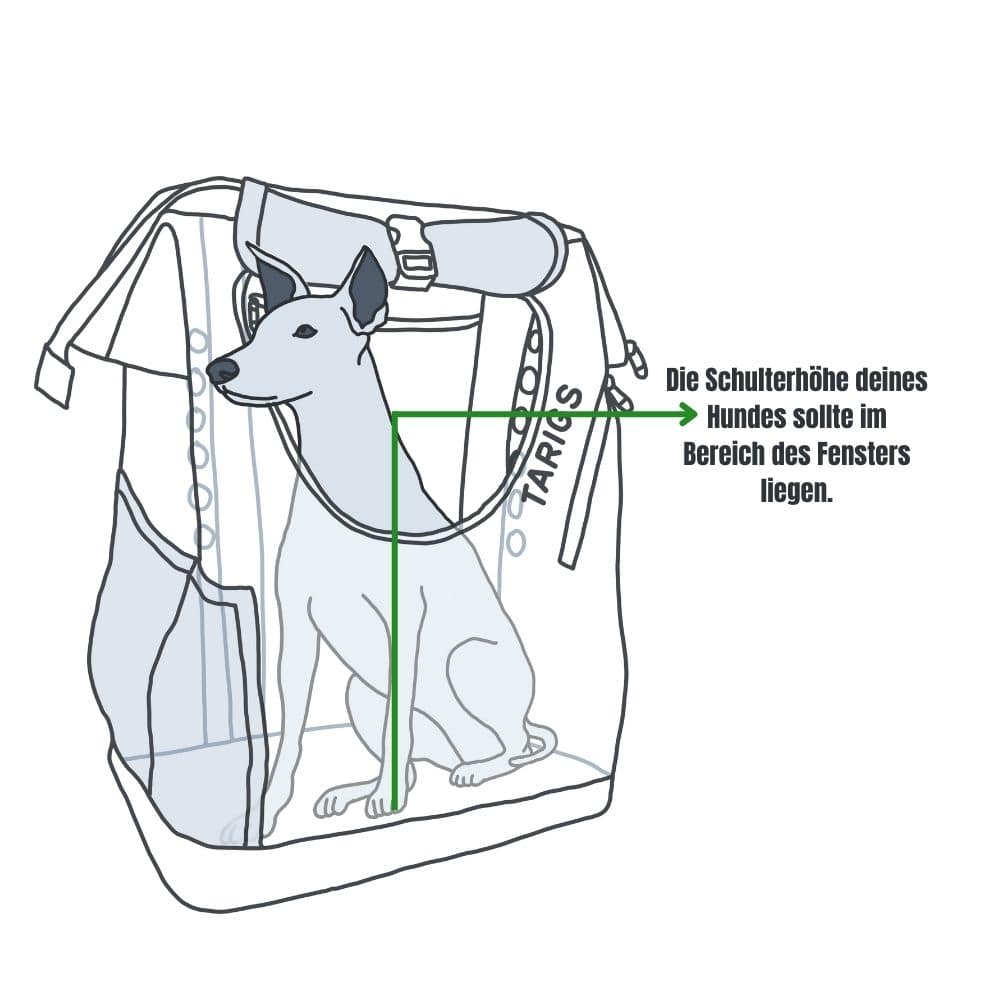 Illustration eines sitzenden Hundes in einem Rucksack, die zeigt, dass die Schulterhöhe im Bereich des Fensters liegen sollte.