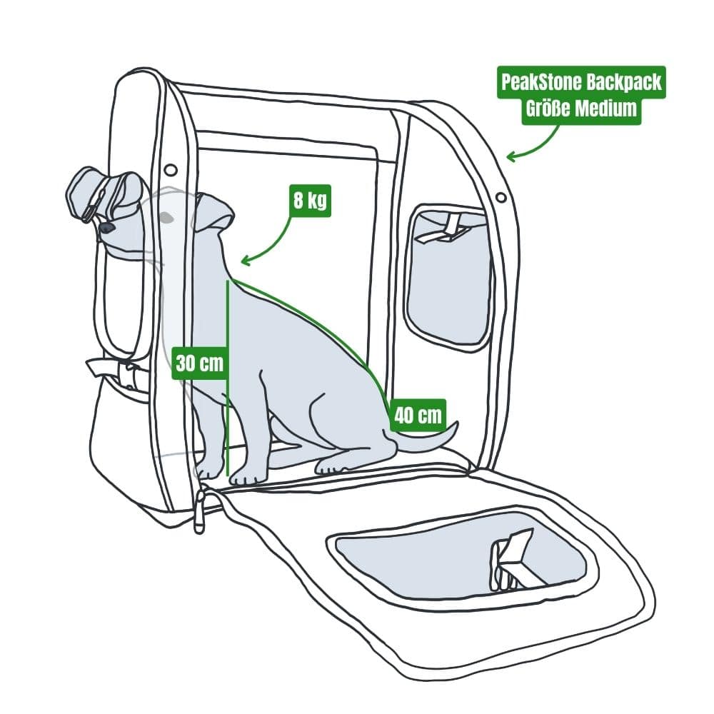 Illustration eines Hundes, der in einem Rucksack sitzt, mit Maßangaben für die Rucksackgröße und den Hund.