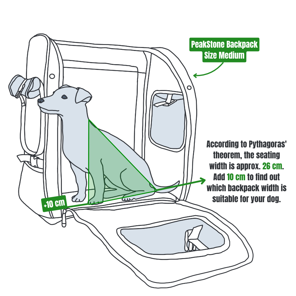 Illustration showing how to calculate the seat width for a dog in a backpack using the Pythagorean theorem and adding 10 cm.
