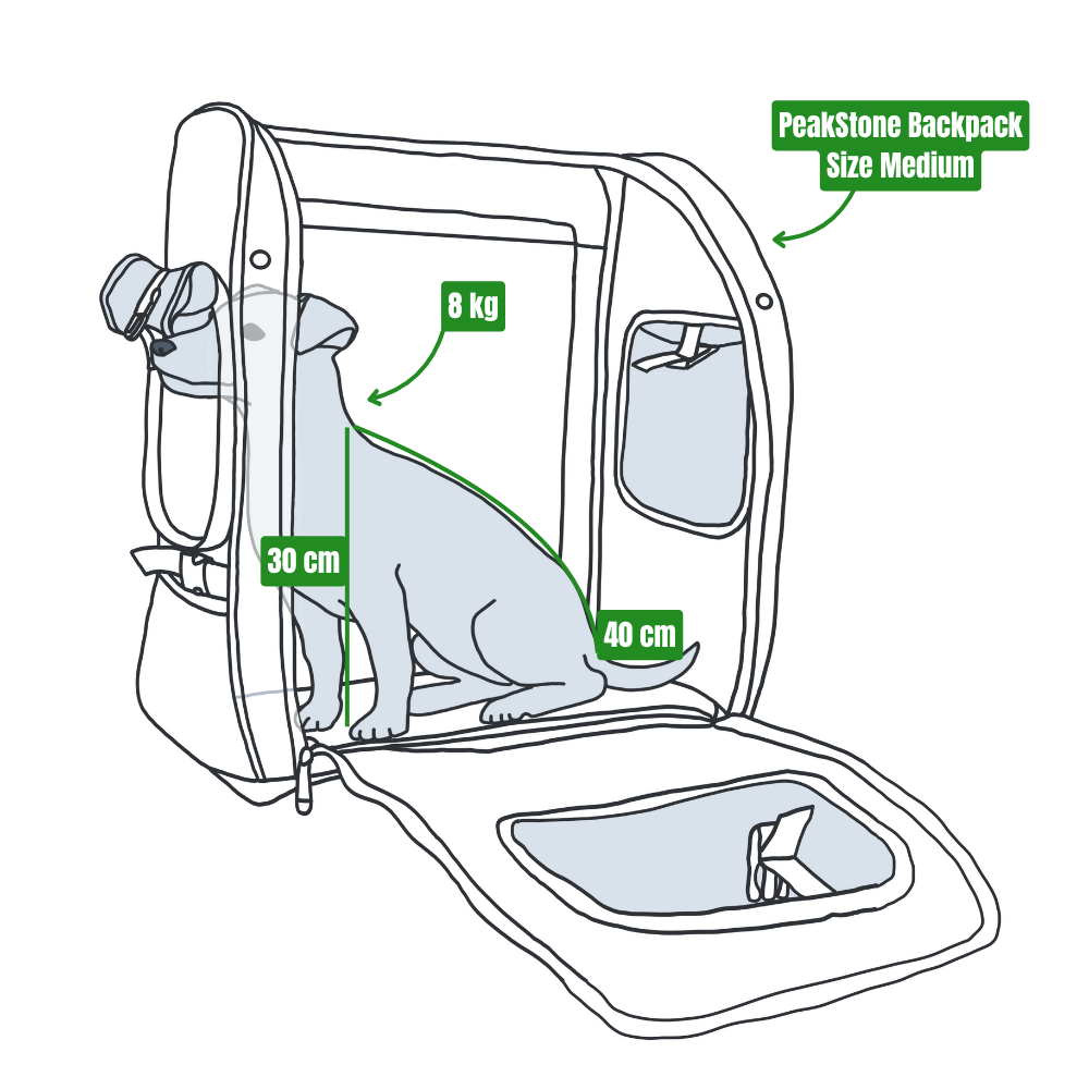 Illustration of a dog sitting in a backpack, with measurements for the backpack size and the dog.