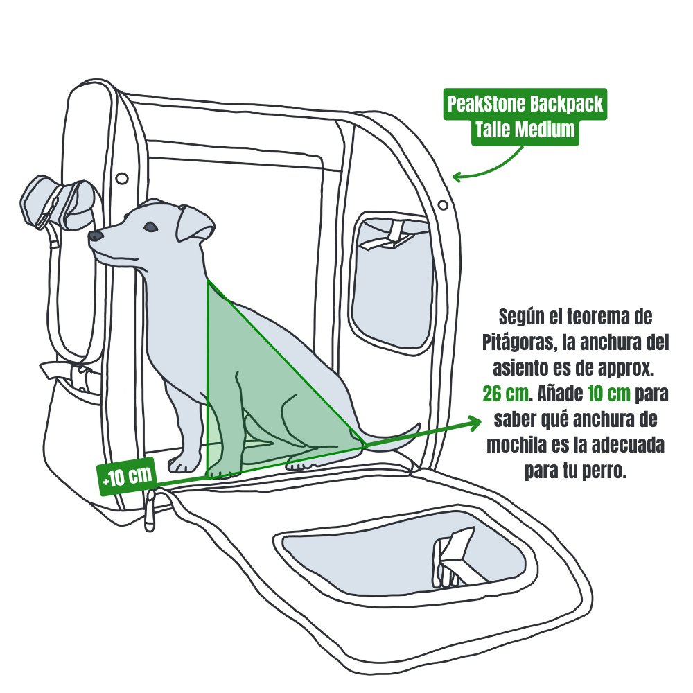 Ilustración que calcula el ancho del asiento de un perro en una mochila utilizando el teorema de Pitágoras y muestra la adición de 10 cm.