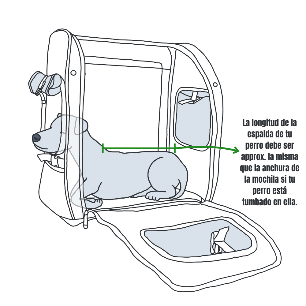 Ilustración de un perro tumbado en una mochila, que muestra que la longitud del lomo del perro debe corresponder al ancho de la mochila.