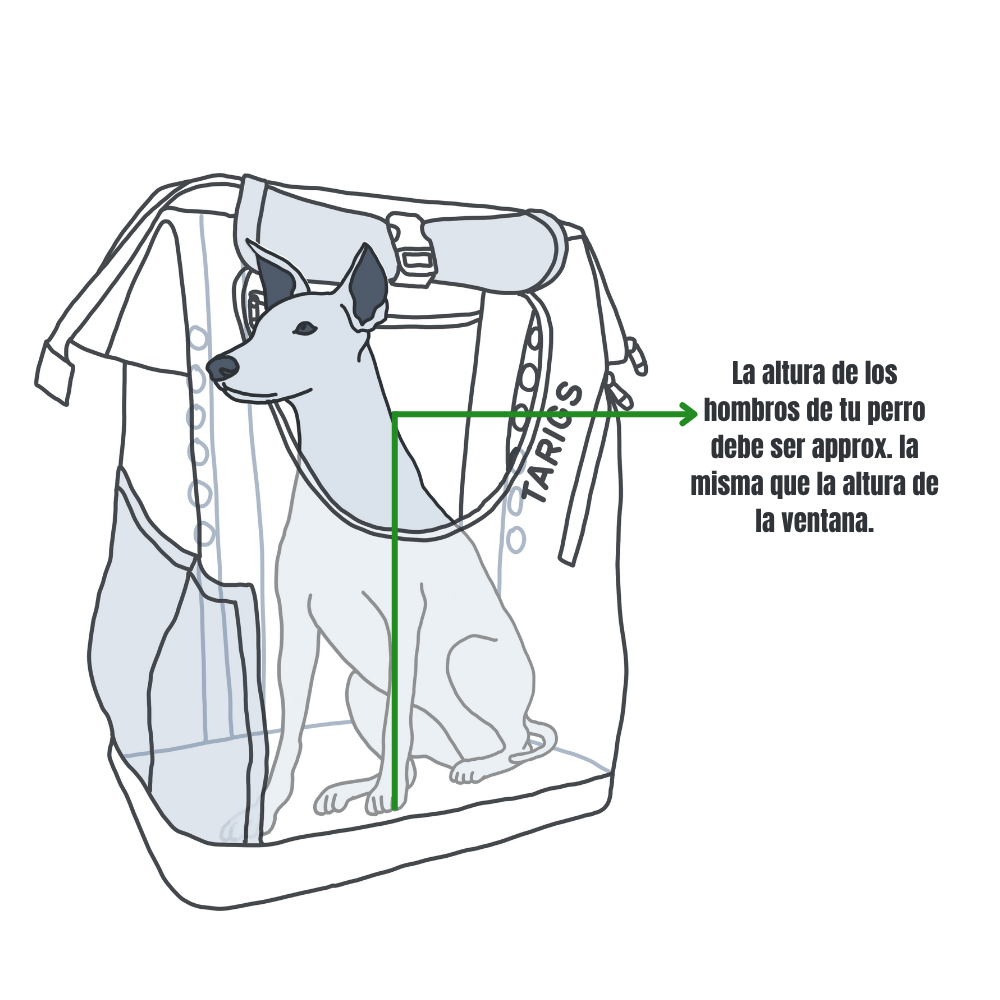 Ilustración de un perro sentado en una mochila, que muestra que la altura de los hombros debe estar a la altura de la ventana.