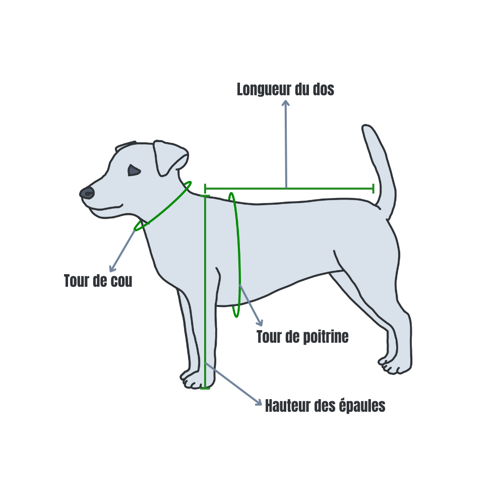 Mesurer correctement son chien pour choisir un sac à dos Illustration montrant comment mesurer un chien pour choisir un sac à dos, avec indication de la longueur du dos, du tour de cou, du tour de poitrine et de la hauteur des épaules.