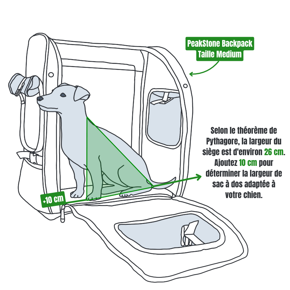Largeur d’assise avec l’astuce de Pythagore Illustration montrant comment calculer la largeur d'assise d'un chien dans un sac à dos à l'aide du théorème de Pythagore et ajouter 10 cm.