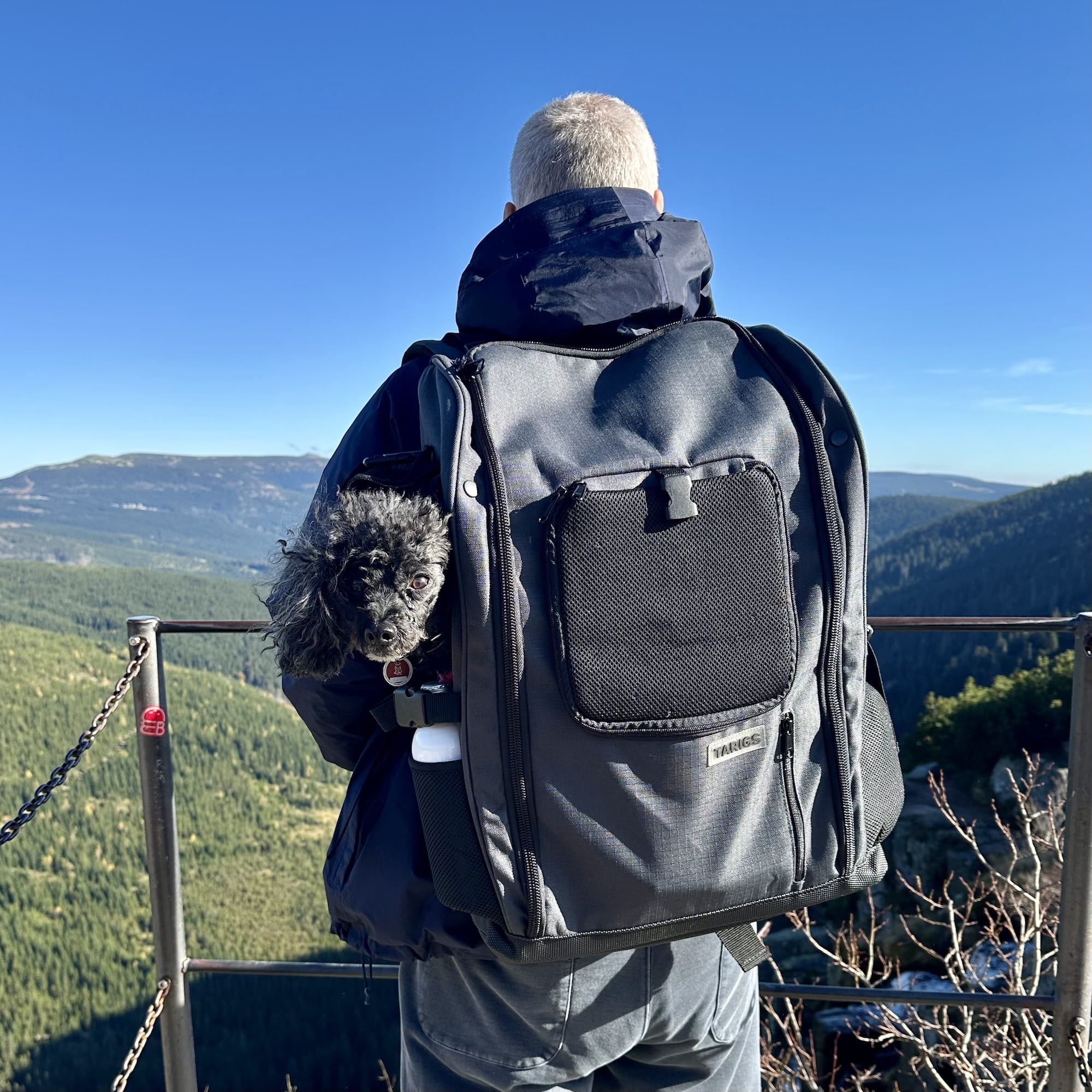 Un caniche miniatura sentado en la mochila PeakStone El caniche miniatura Lilly sentado en la PeakStone Backpack Medium y disfrutando de la excursión.
