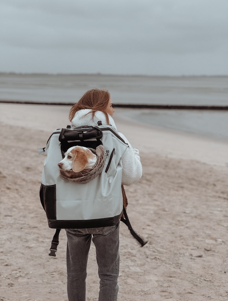 Su dueña lleva a la beagle Zoe en la MountainRock Backpack en una playa de arena con el mar de fondo.